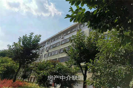 百合花园3室2厅1卫126㎡，带车位和附房
